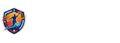 法国队直播